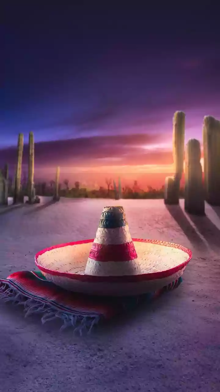 Donald Trump's Immigration Crackdown Sees Another Man Shot Dead By Federal Agents In Minneapolis - VIDEO