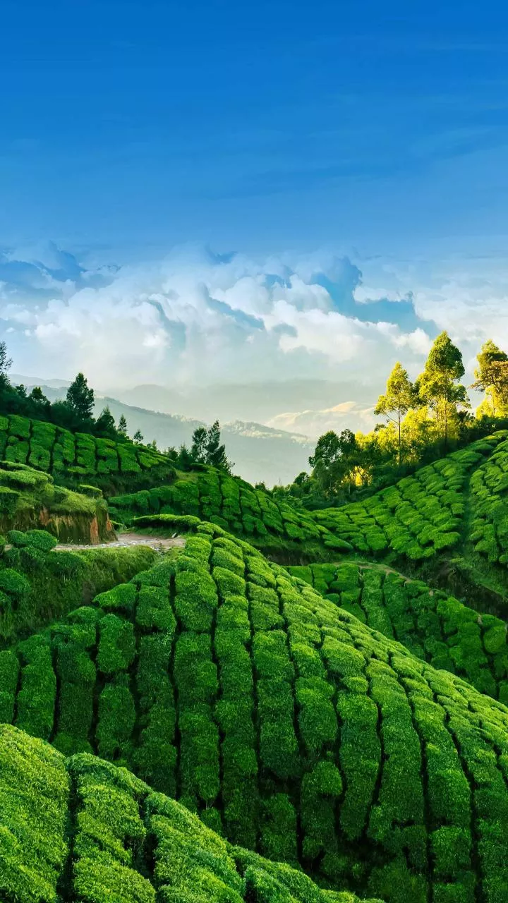 Kerala to review implementation of PM SHRI, says CM Vijayan