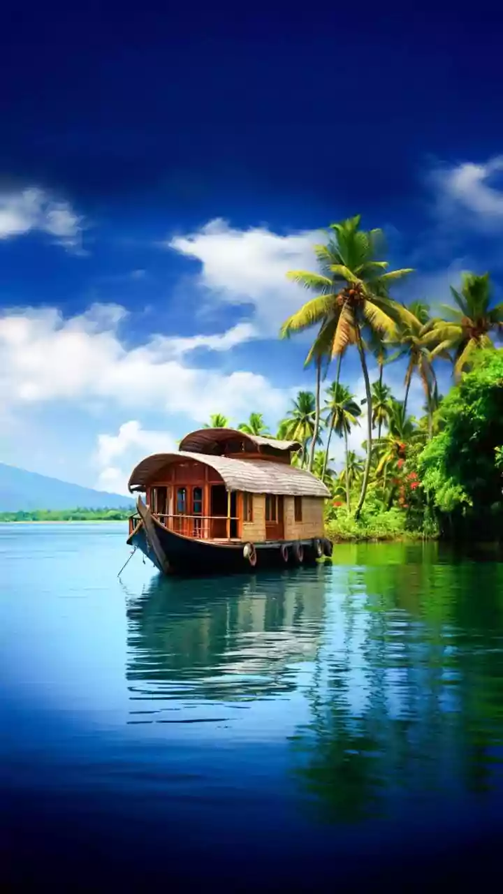 Kerala's Serenity: Finding Peace and Wellness