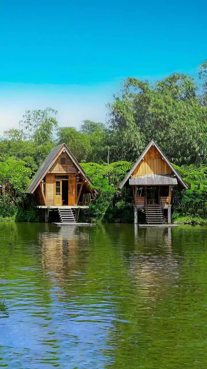 Farm Stays and Forest Cabins Lead the Reverse Vacation Trend