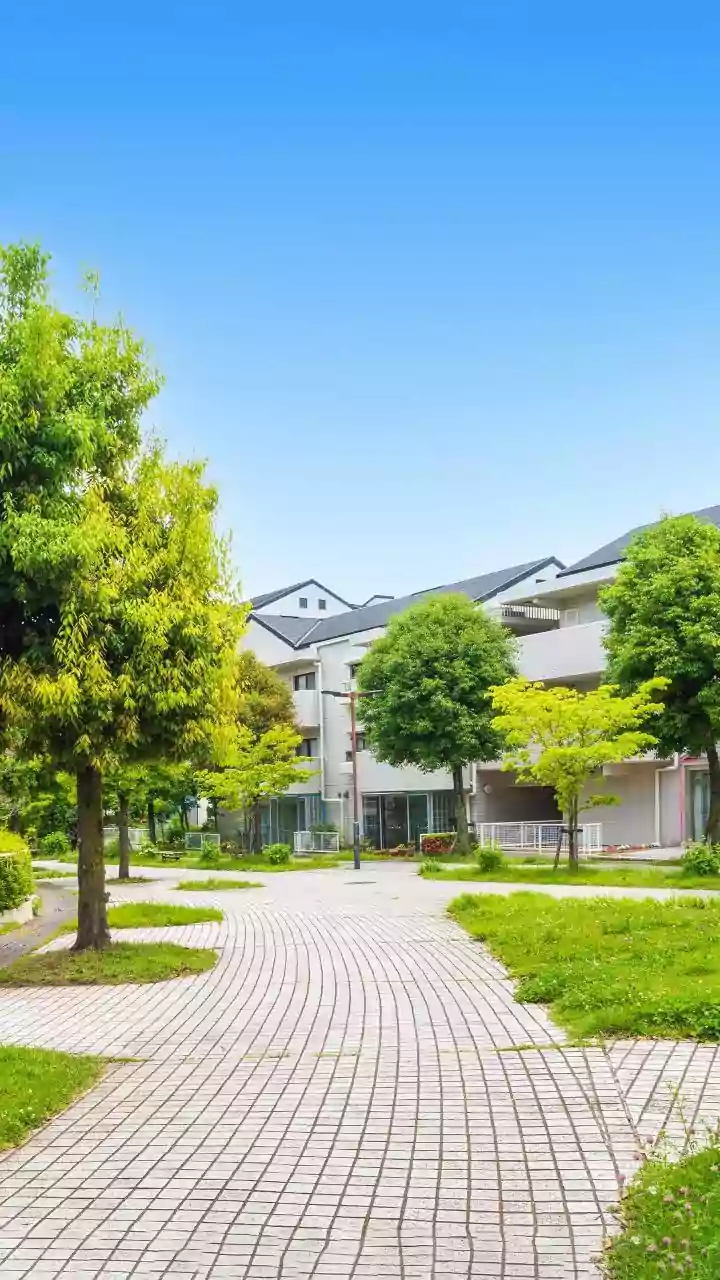 Clean Air, Clear Minds: A Path to Wellness