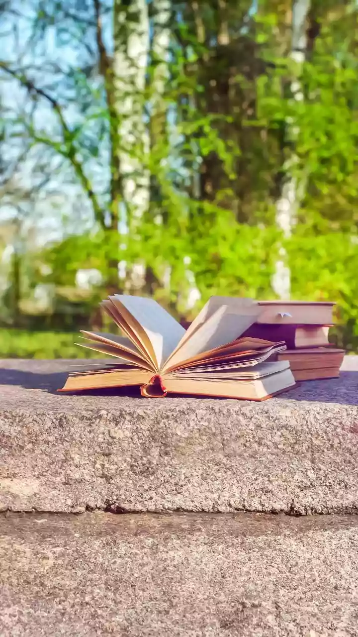Shade, Seating, Books and Weather Backups Define a Workable Outdoor Library