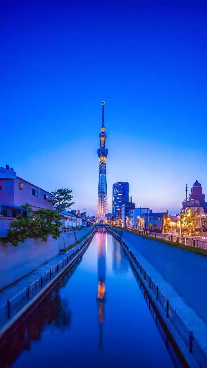 'If You Tell Him He's Wrong, He Gets Angry': Former Japan PM On Dealing With Trump