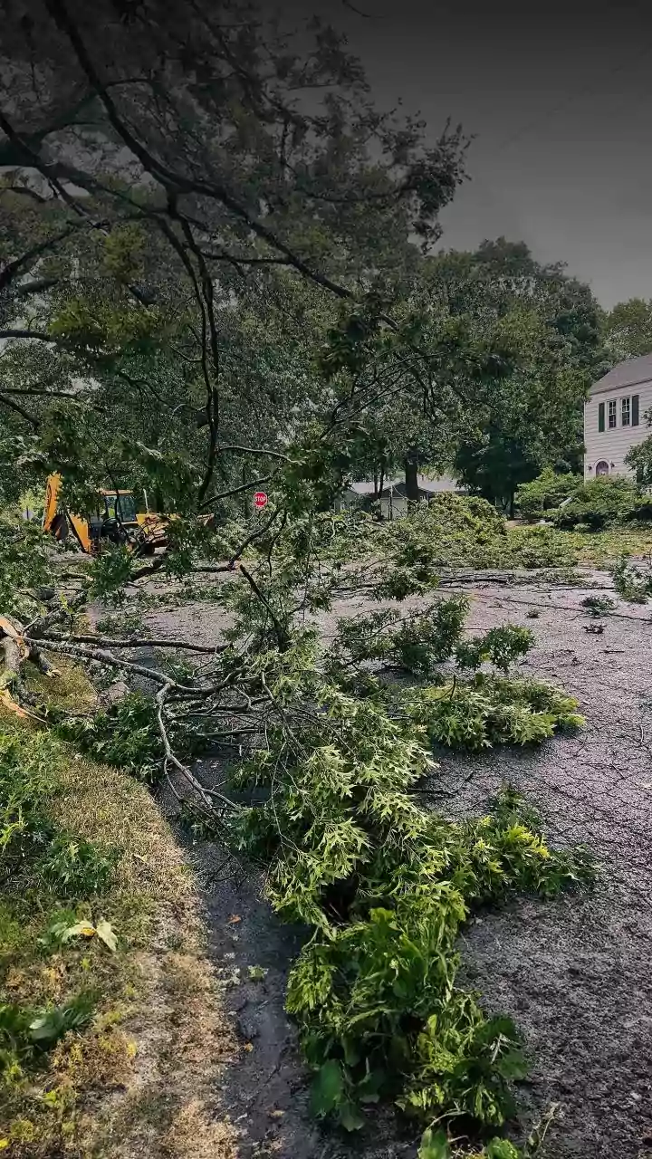 Storms disrupt power and travel across northern Europe