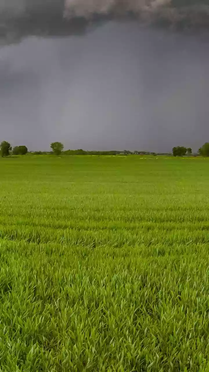 India's Monsoon Transition: Understanding The September Heat-Rain Balance