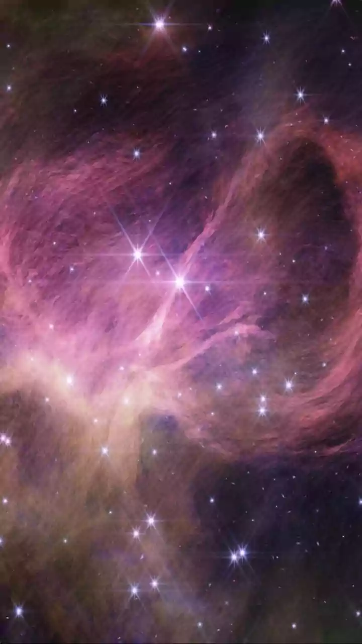 February 20, 2026: Astrological Love Forecast for Every Zodiac Sign