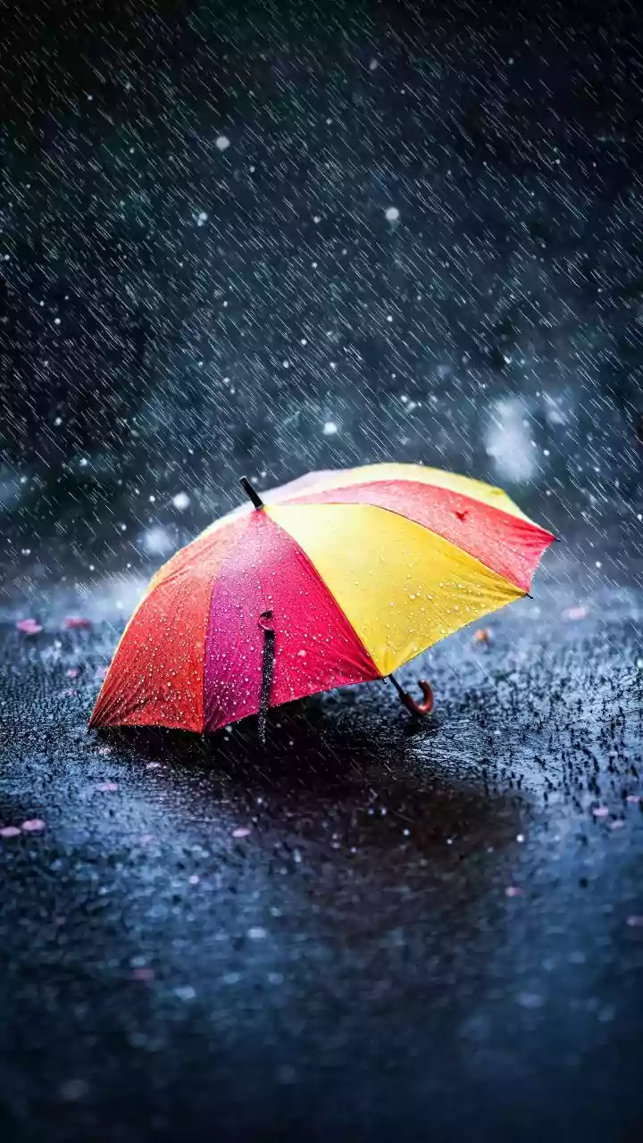 Heavy rain, thunderstorms likely this week in UP: IMD