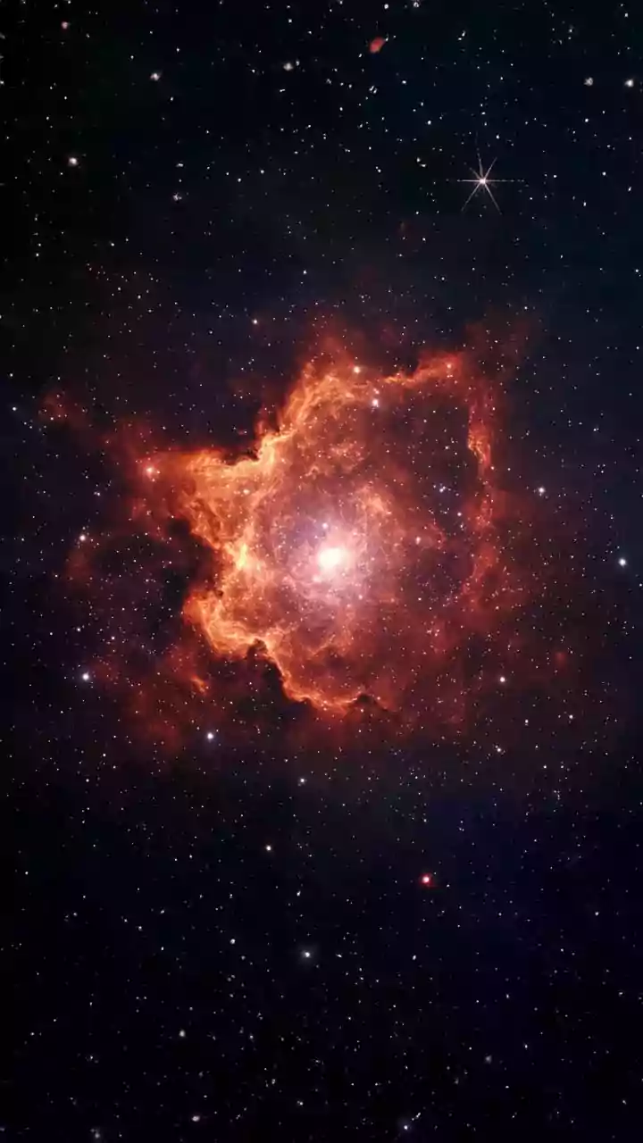 The Case For A Dying Star's Remains Changes After Webb's New Lion Nebula Portrait