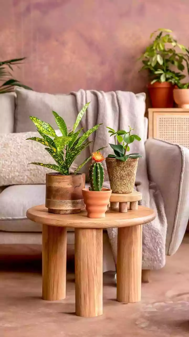 Ceramic Bells: Home Decor & Longevity Guide