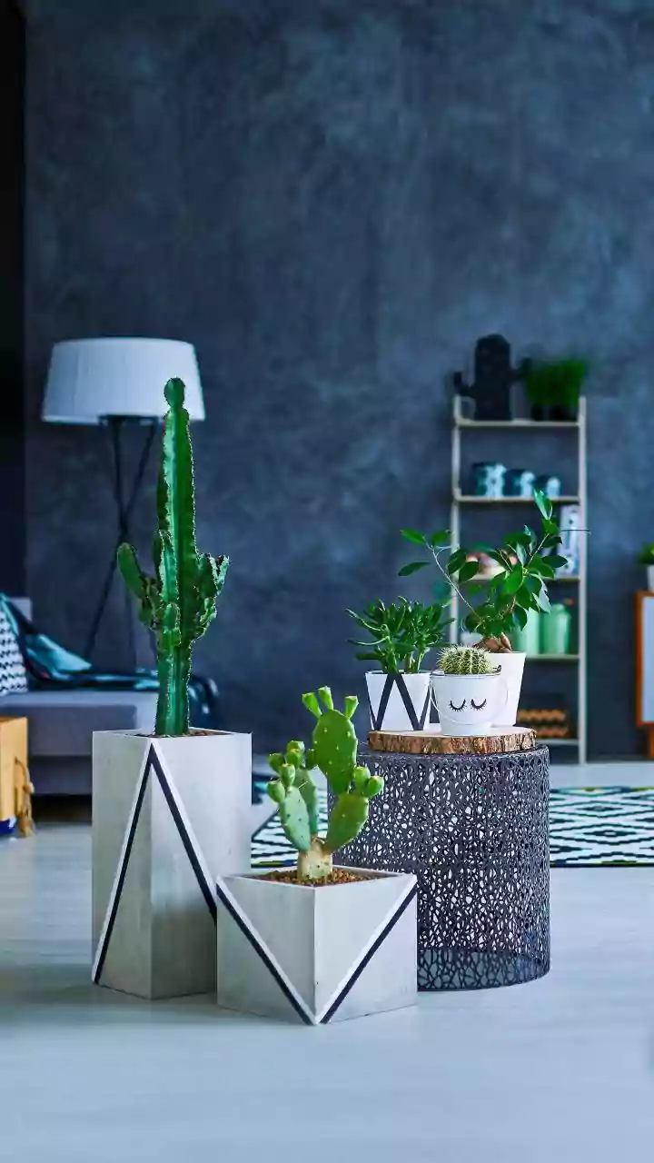 Five Ways to Turn Old Kitchen Items Into Stylish Home Decor