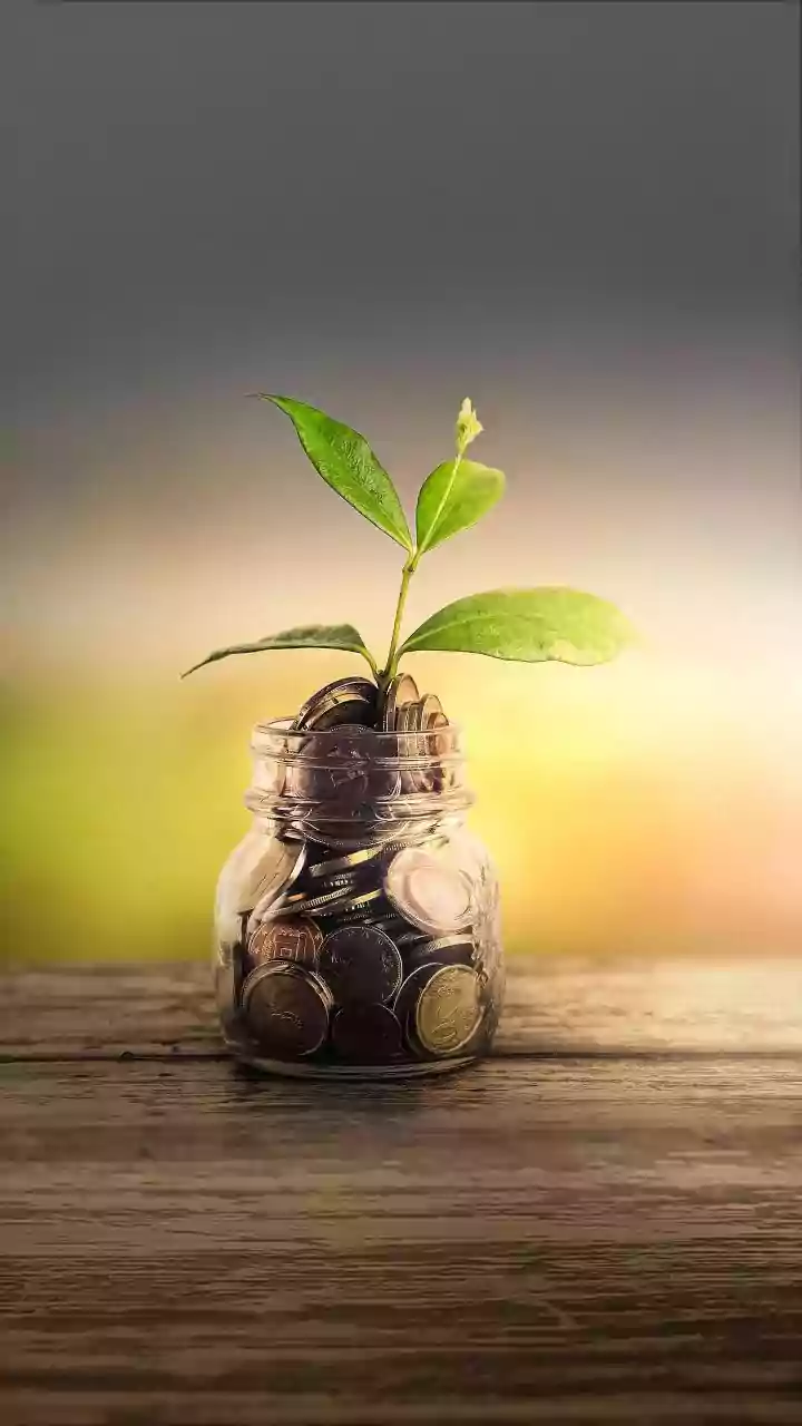 Swiss-Indian Chamber of Commerce holds interaction on investment opportunities in Bihar