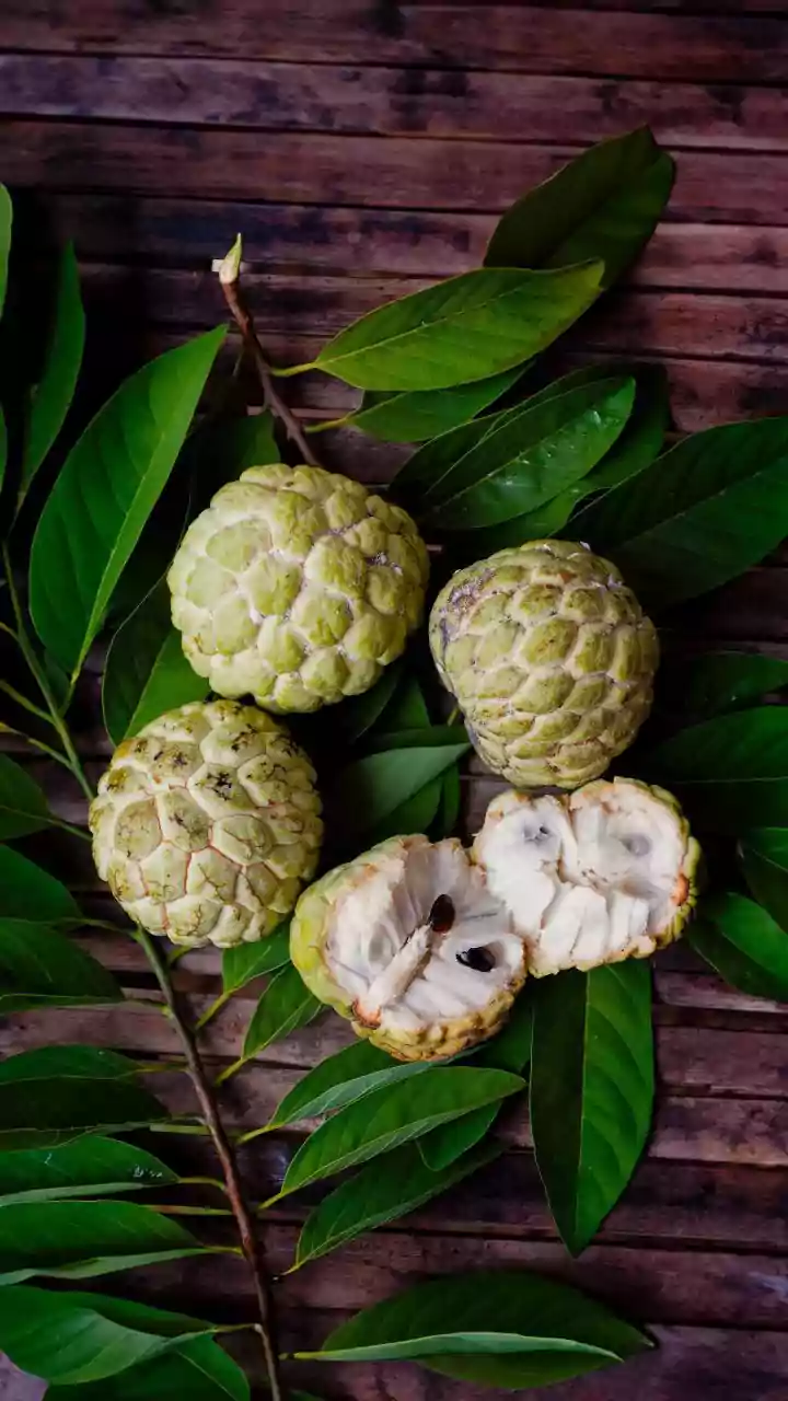 5 amazing health benefits of custard apple