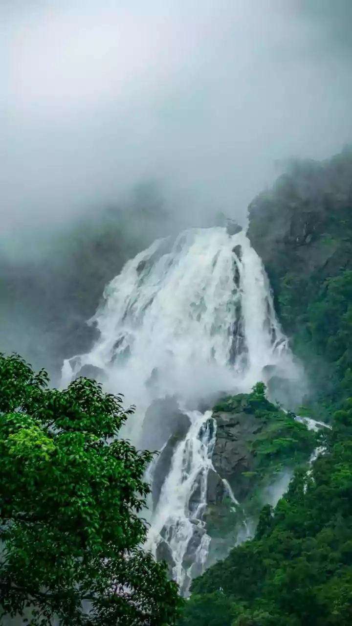 How Rainy Season Homestays In Coorg Coffee Estates Provide Ideal Escapes For Off Season Travellers