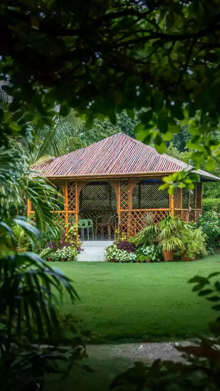 गोवा का 125 साल पुराना बंगला: प्रभात चौधरी की पितृत्व यात्रा की एक संगीतमय पुनर्स्थापना