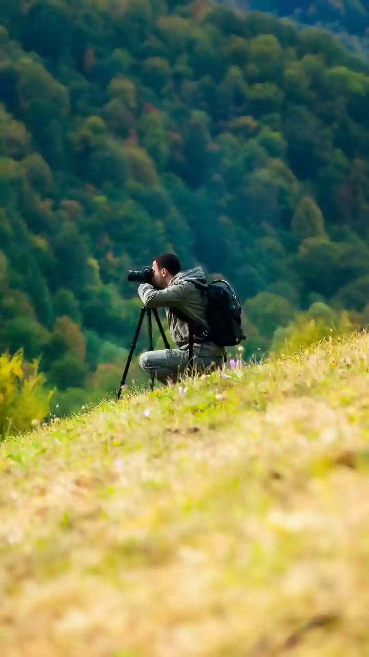 More Wolves Mean More Demand for Expert-Led European Nature Trips