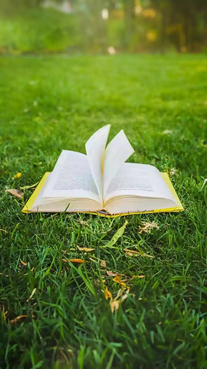 Bhagavad Gita: Master Your Mind, Conquer Challenges, and Find Lasting Happiness