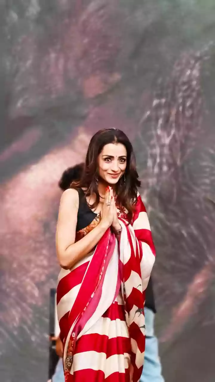 Angry Trisha Krishnan Calls Out Luxury Clothing Brand, Calls It 'Disgusting'; Here's Why
