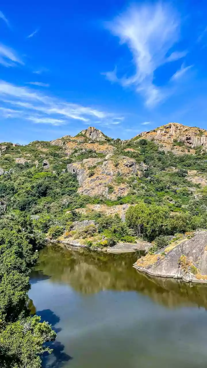 India's Top 5 Leopard Hotspots: Your Ultimate Guide to Unforgettable Sightings