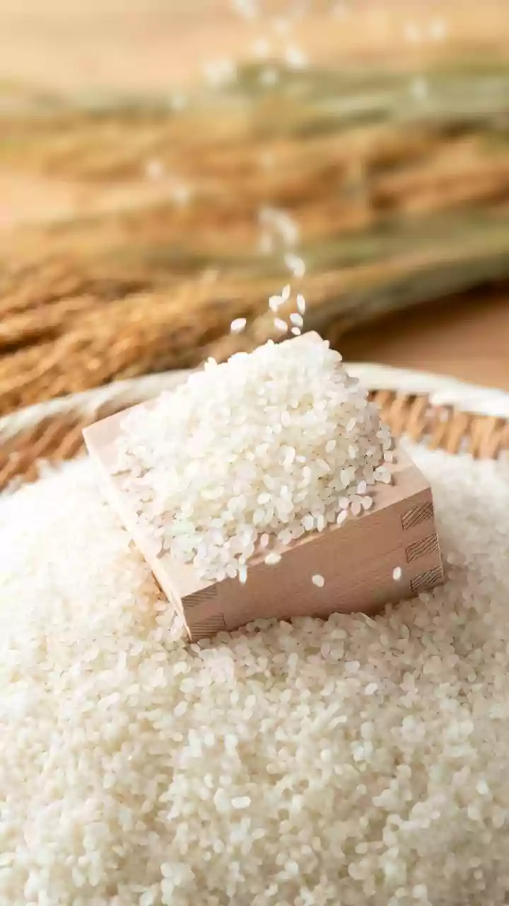 Check Grain Length and Milling before Choosing the Method