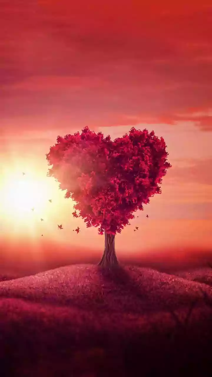 Unlock True Connection: 5 Ways to Cultivate Deeper Love and Beat Loneliness