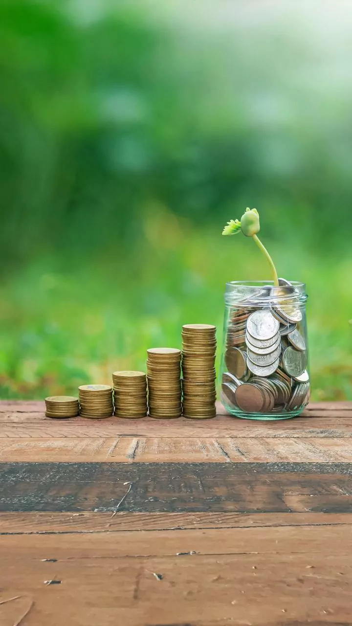 Wealth Company's New Equity Funds: A Closer Look