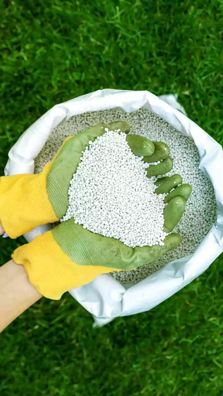 India Explores Green Urea Production for Sustainable Agriculture