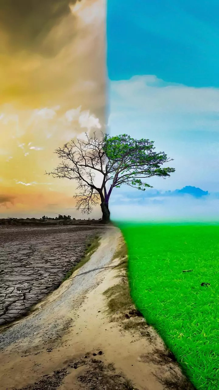 Understanding economics of environmental change key to South Asia's sustainable future: experts