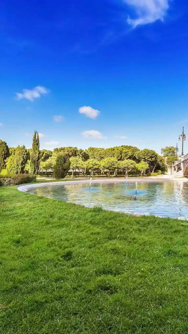 Why Soil Microbe Restoration Is Vital For Urban Gardens Recovering From Heavy Waterlogging