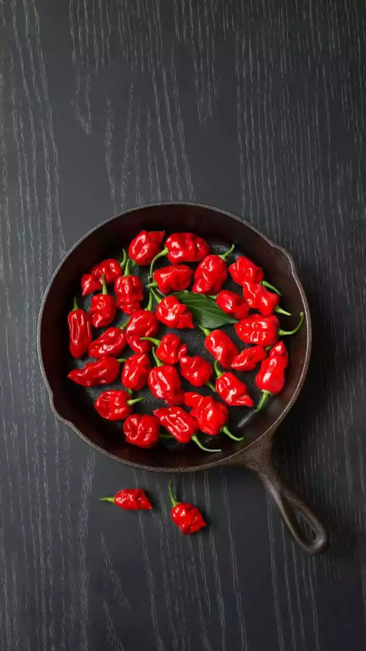 Northeast Indian Bhut Jolokia Condiments Become The Latest Urban Fusion Café Trend