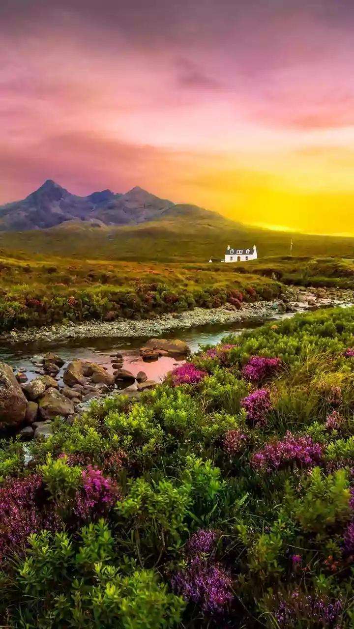 'Prettiest Boy': Vedang Raina’s Scotland Getaway Is Straight Out Of A Travel Magazine