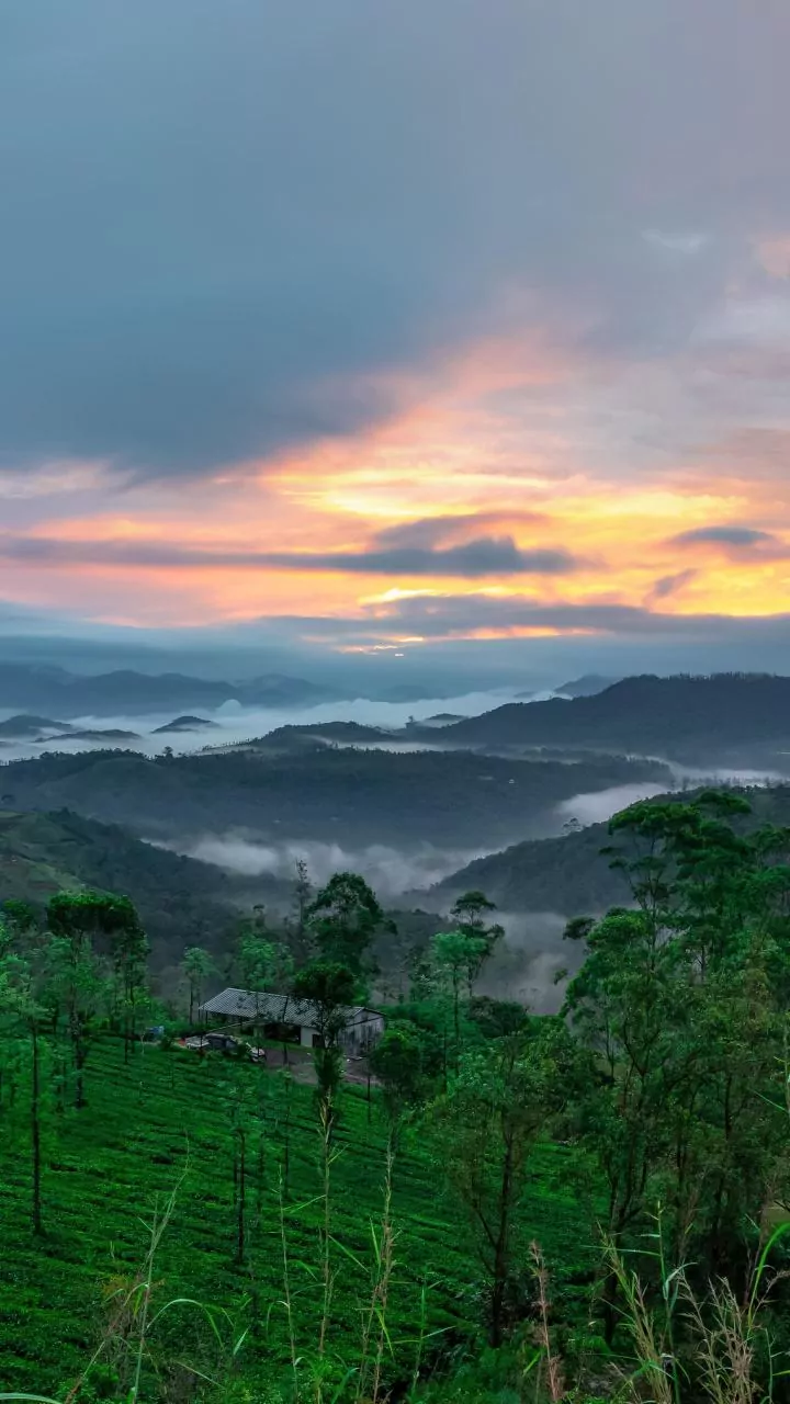 How Indian Tourists Experience Sri Lanka Top Kandy To Ella Train Route