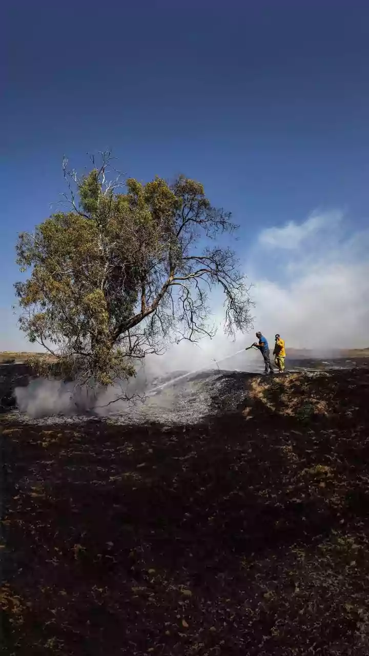 Wildfires rage into third day in southern Chile as death toll continues to rise