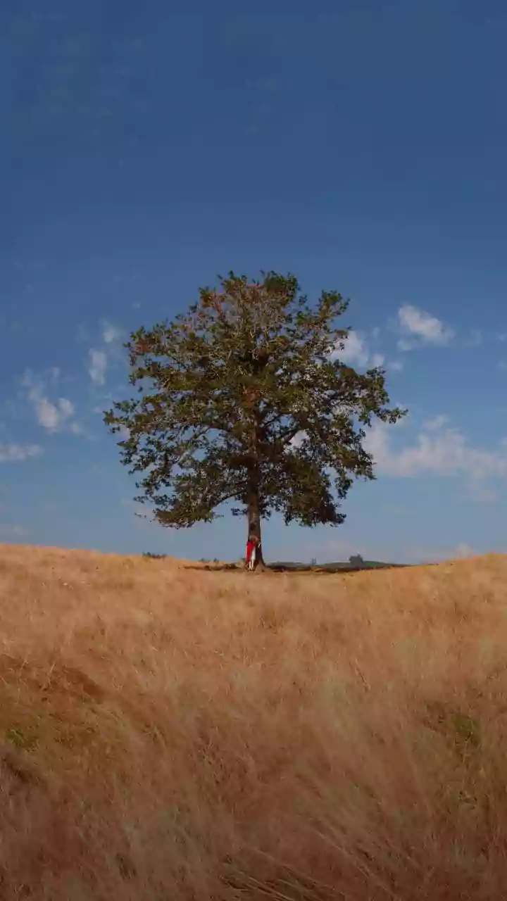 Finding Freedom: Why Being Alone Doesn't Mean Lonely