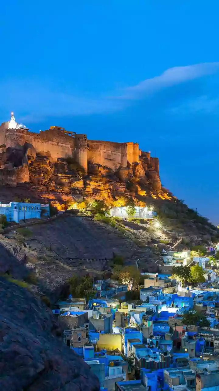 Rajasthan: CCTV Footage Shows Couple Attacked By Pack Of Stray Dogs On Jodhpur Street