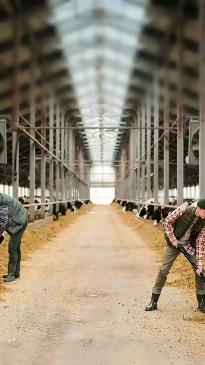 Punjab Cuts Registration Fee For Agriculture, Dairy & Fisheries Cooperatives