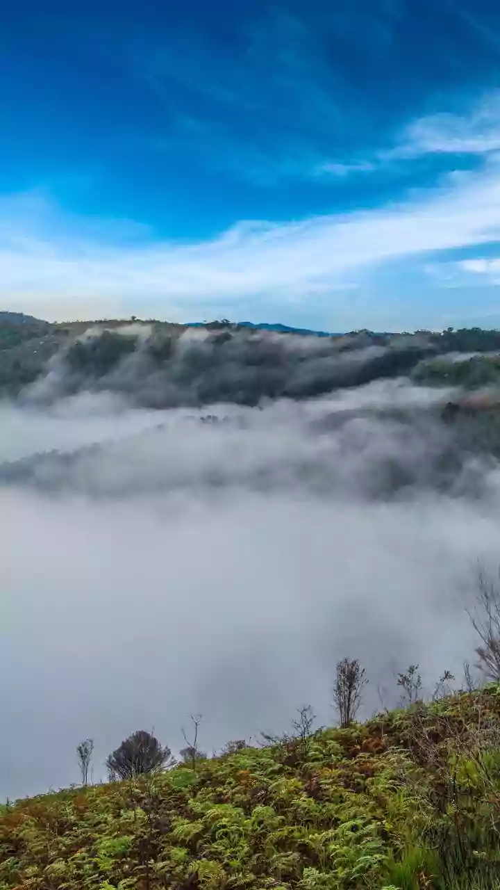 Pack Your Bags For India's Rainiest Adventures
