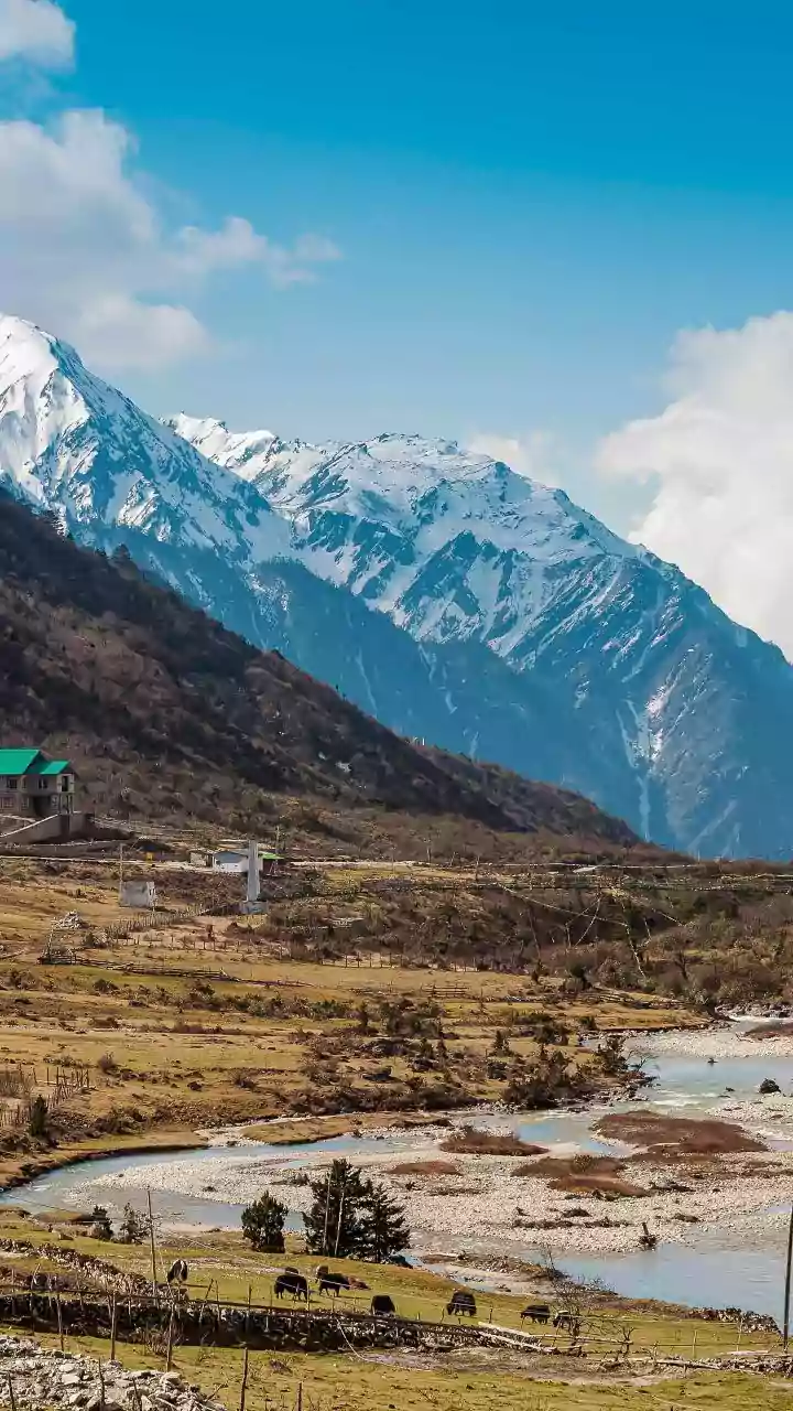 A Glimpse into India's Natural Wonders: National Parks and Char Dham's Spiritual Trails
