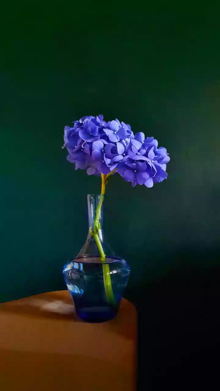 Fresh Flowers Need Water Access and a Realistic Setup Time
