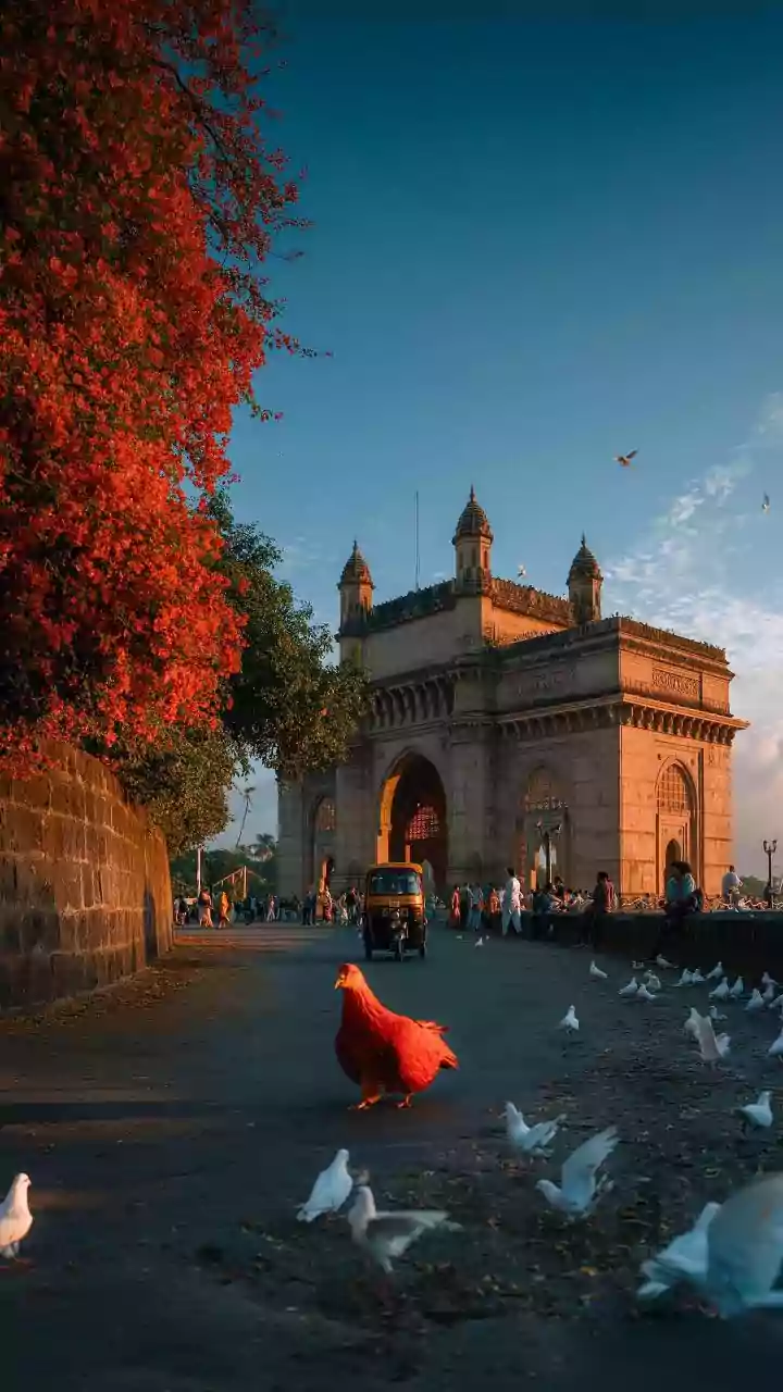 Why December is Perfect for Exploring India