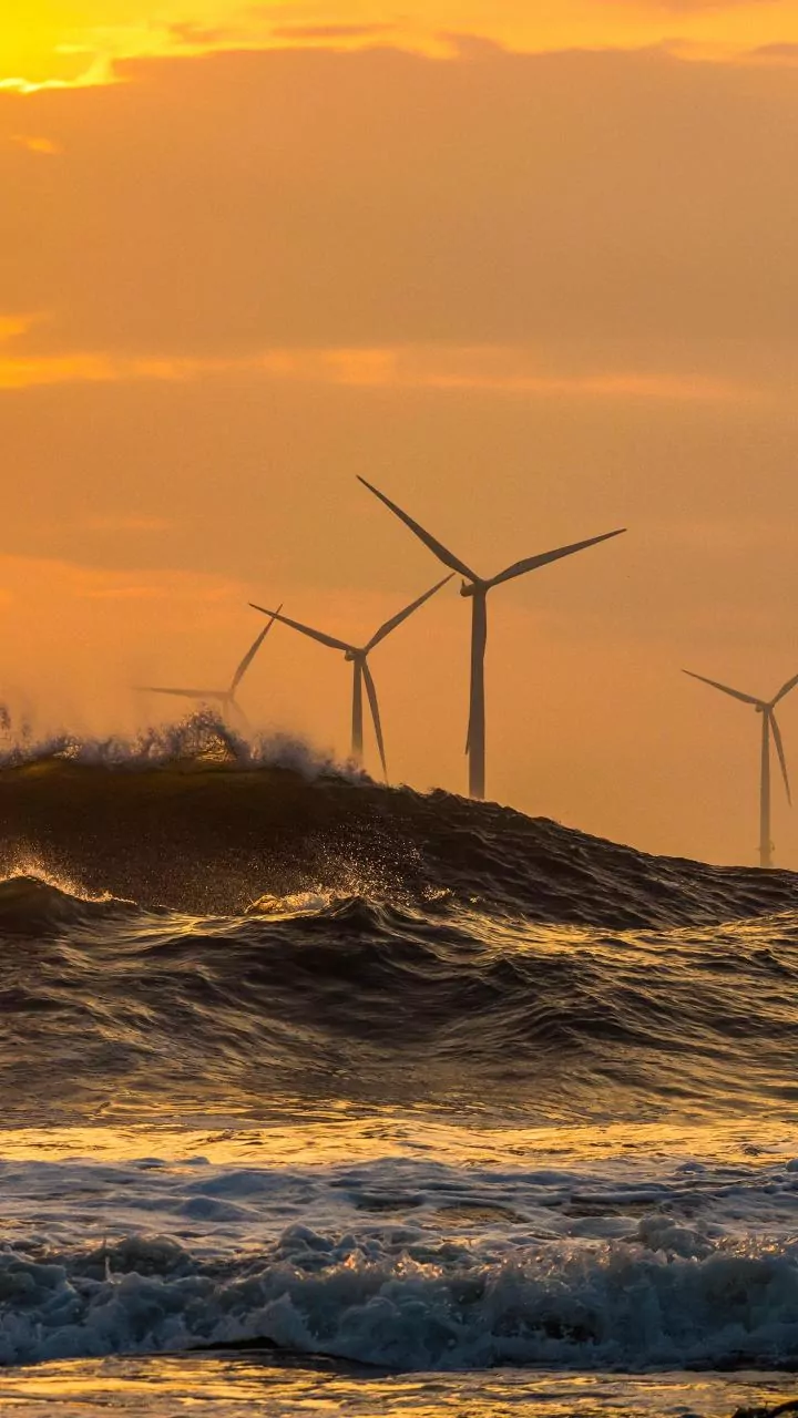 Wind energy giants take Trump to court over $25B project freeze