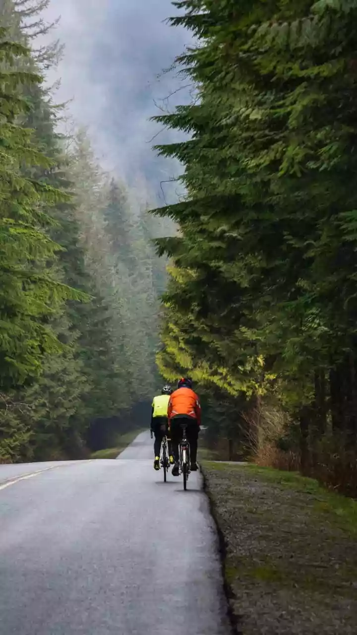 Nature Lovers Are Falling For Monsoon Cycling
