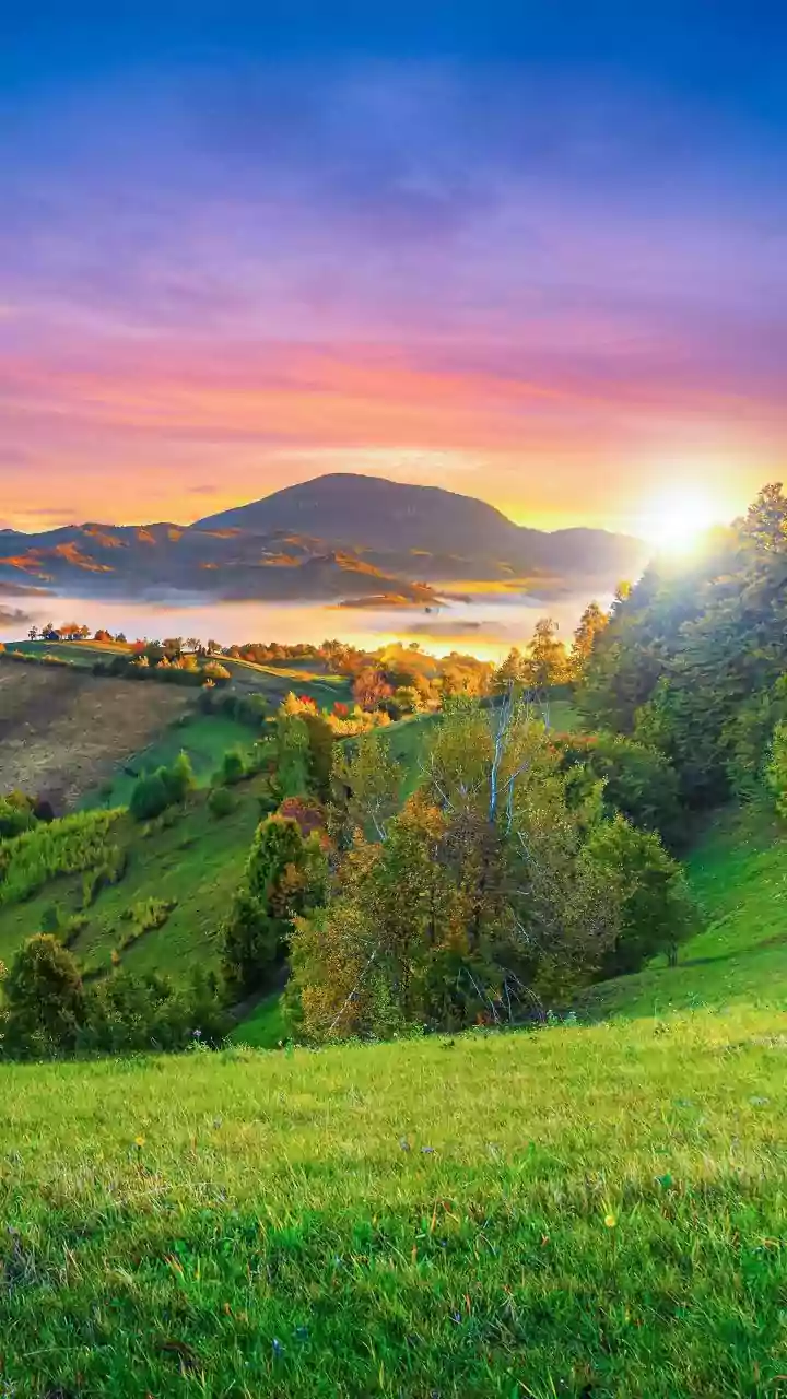 5 AM Affirmations: Forge a Resilient Mindset for a Peaceful, Growth-Filled Day