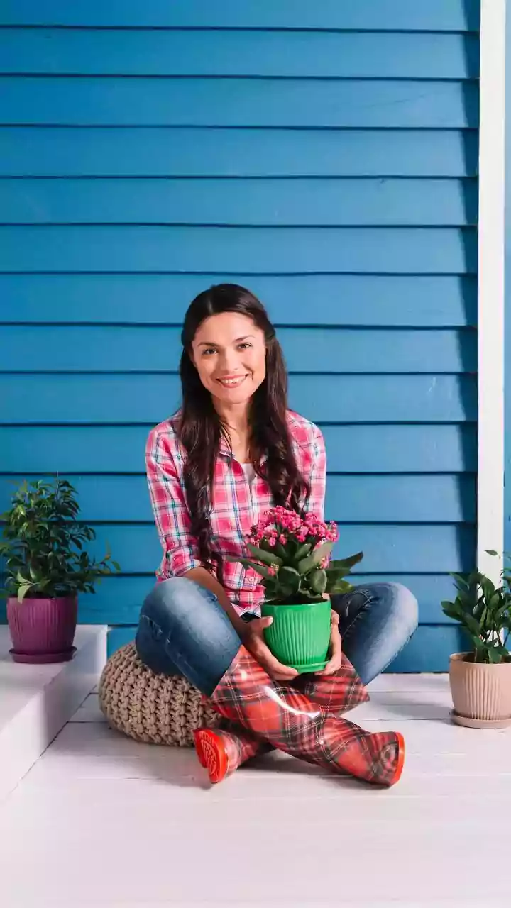 Why Beginners Should Start Their Home Garden With Simple Low-Maintenance Houseplants That Stay Alive