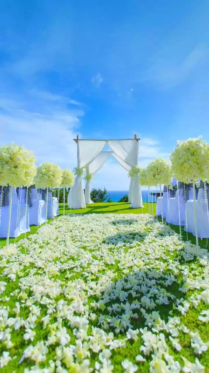 Indian Billionaire’s Rs 47-Crore Wedding In Vietnam: 1,400 Guests, Charter Flights, Luxury Resort