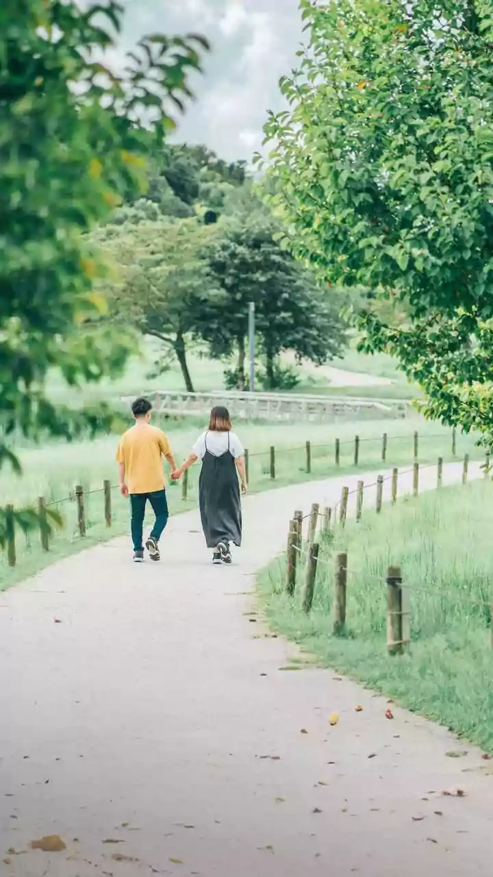 Unveiling the World of K-Dramas: Top 10 Must-Watch Series of 2025