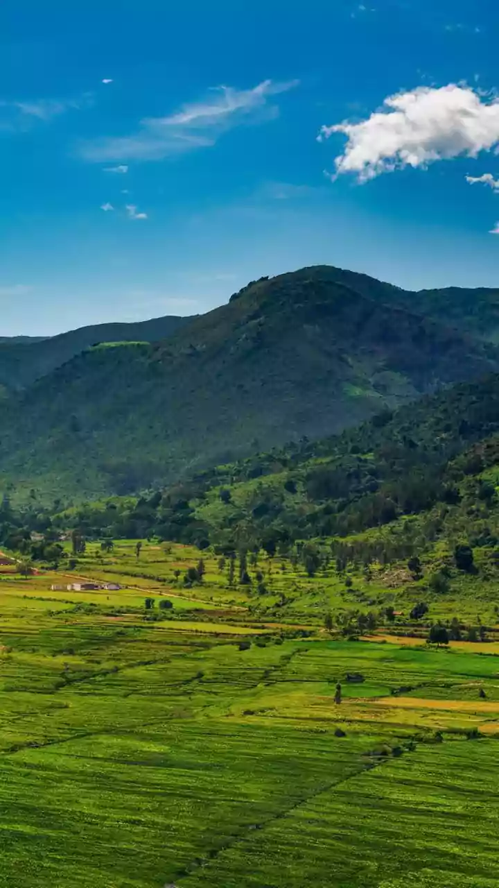 High-Altitude Retreat Boom: Araku Valley Homestays Attract Urban Travellers Seeking Green Serenity