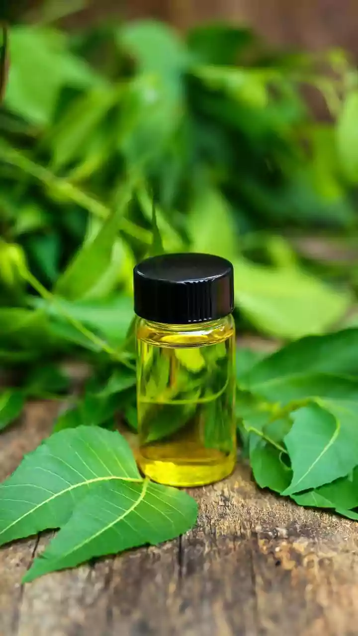 How Heritage Indian Herbal Hair Oils Restore Natural Scalp Balance Impaired By Chemical Smog Contaminants