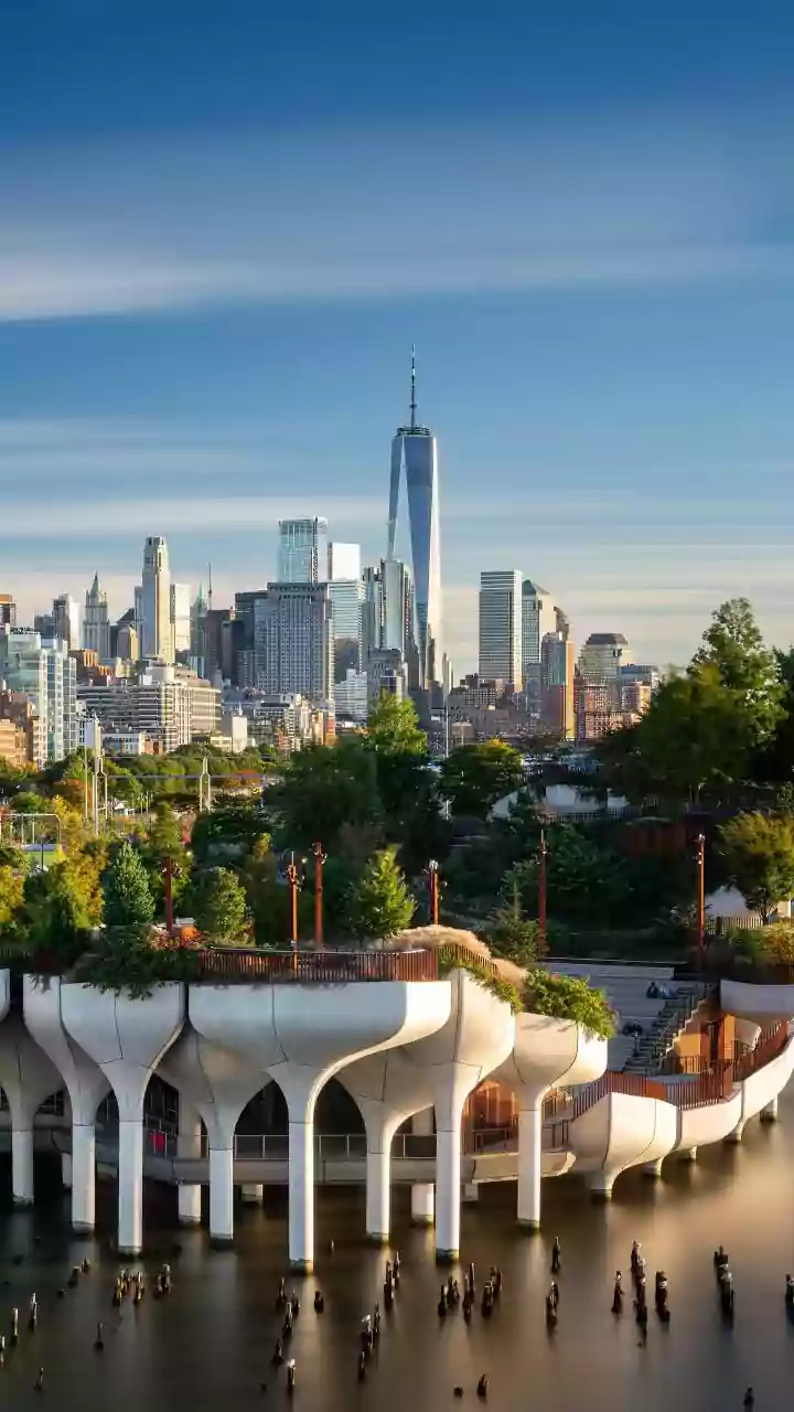 Rooftop Vegetable Patches Turn Stifling Urban Heat Zones Into Sinks