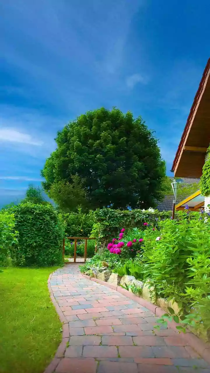 What are garden gratitude walks?