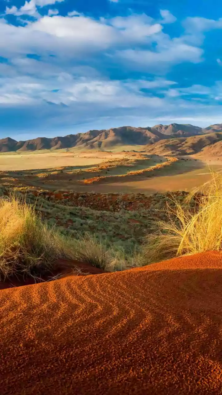 Unearth Your Inner Artist: A Beginner's Guide to Sand Drawing